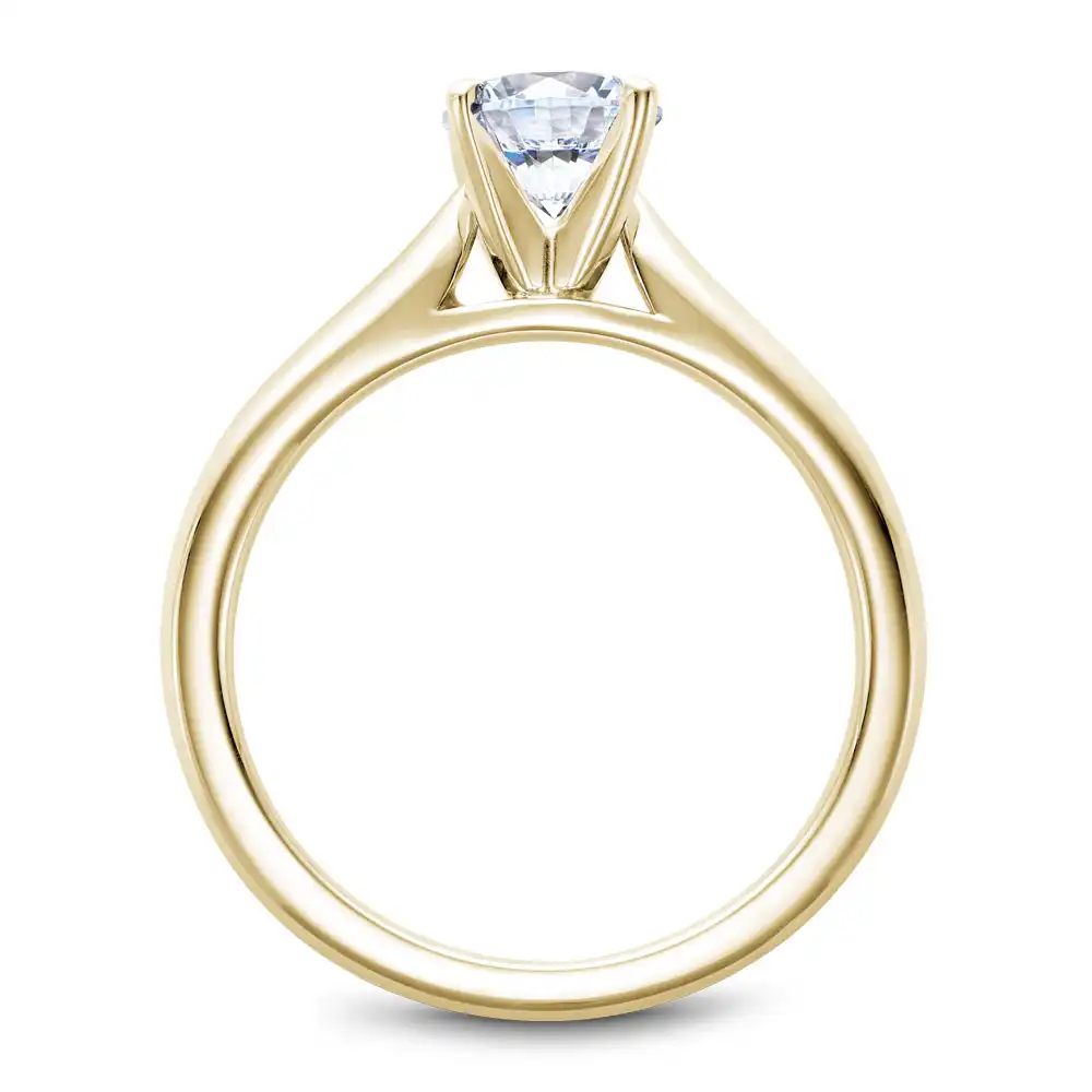 Noam Carver Semi Mount Engagement Ring