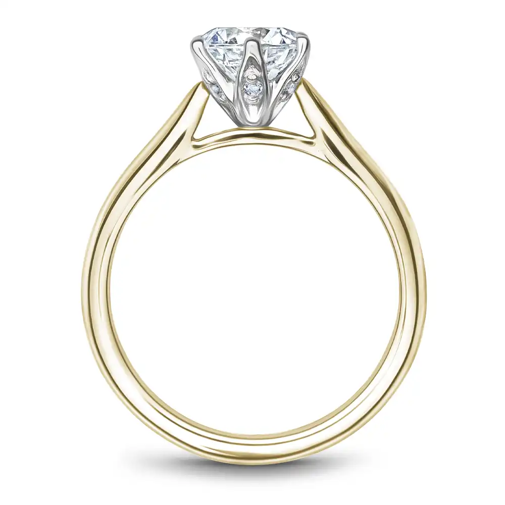 Noam Carver Semi Mount Engagement Ring