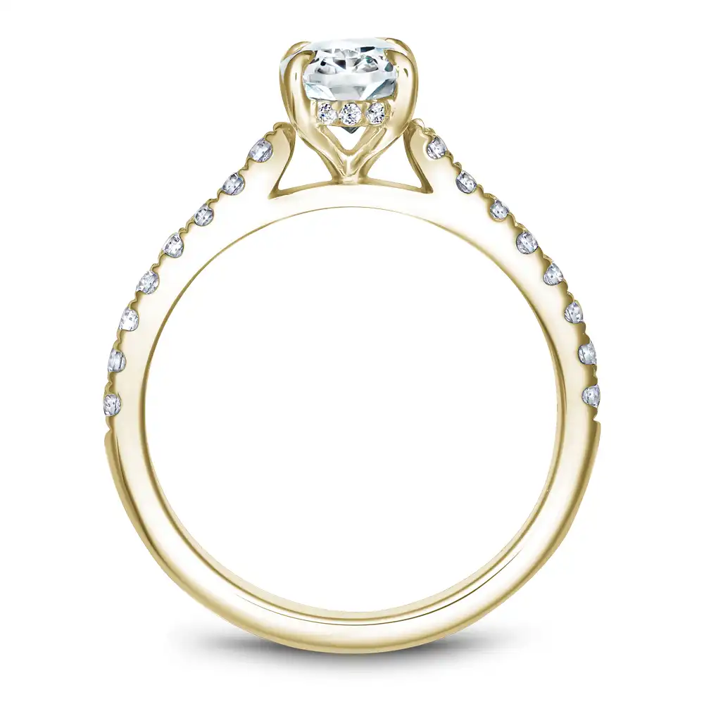 Noam Carver Semi Mount Engagement Ring