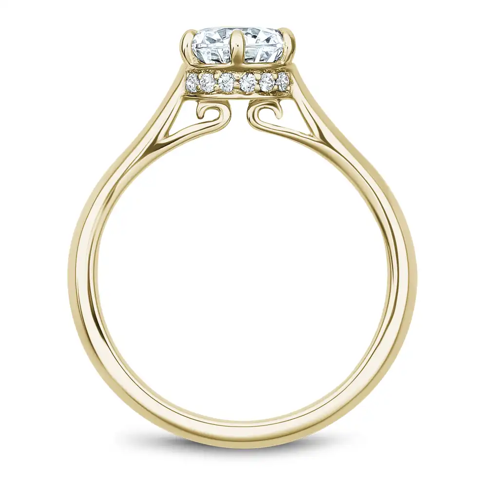 Noam Carver Semi Mount Engagement Ring