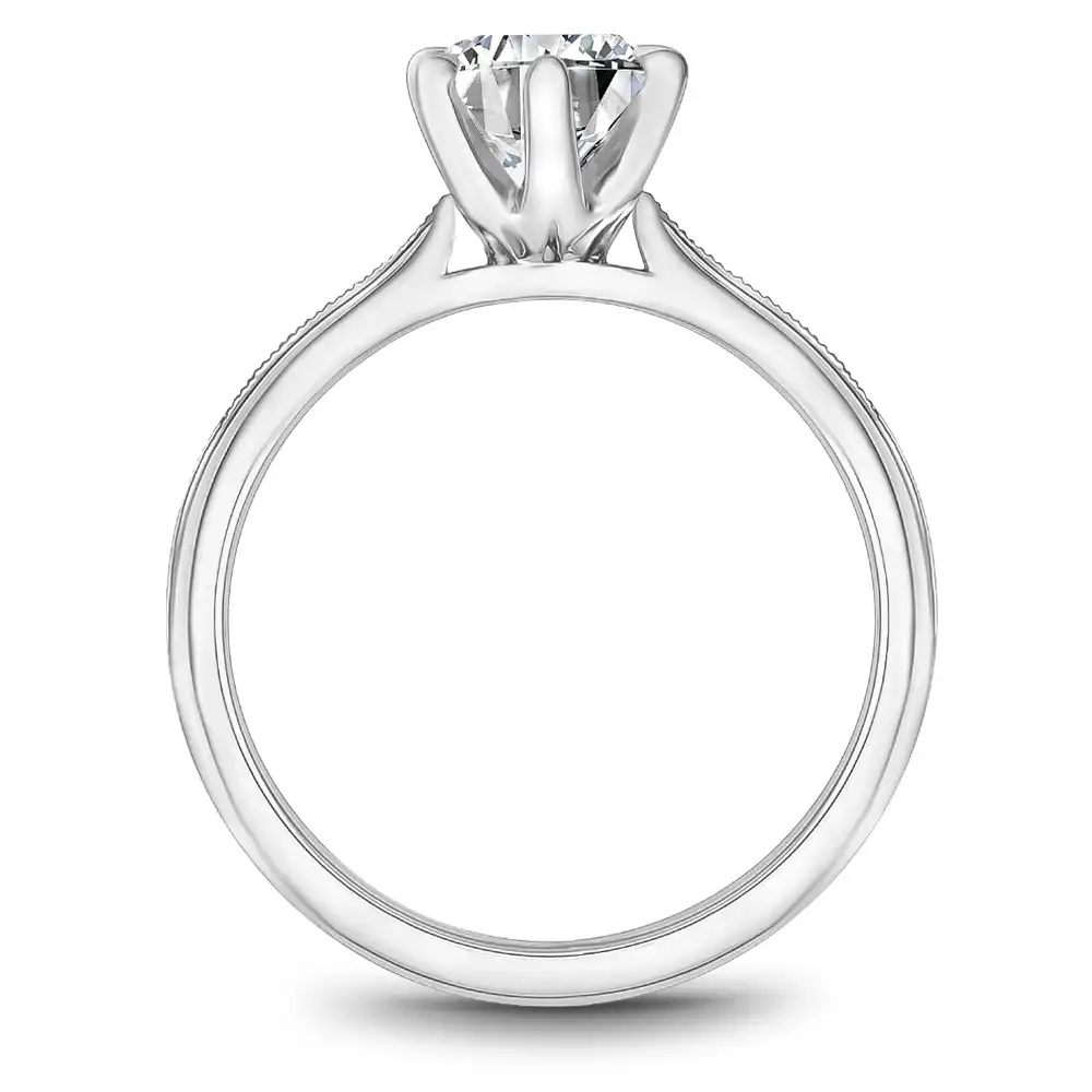 Noam Carver Semi Mount Engagement Ring