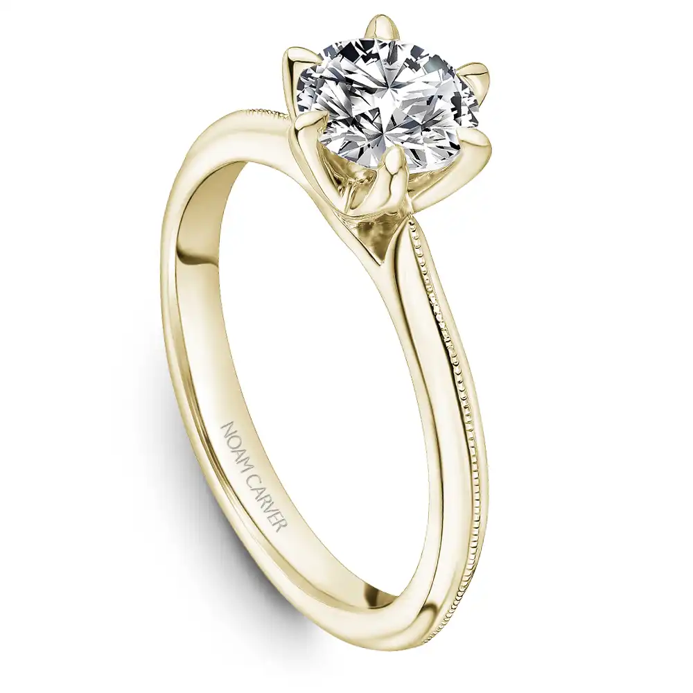 Noam Carver Semi Mount Engagement Ring