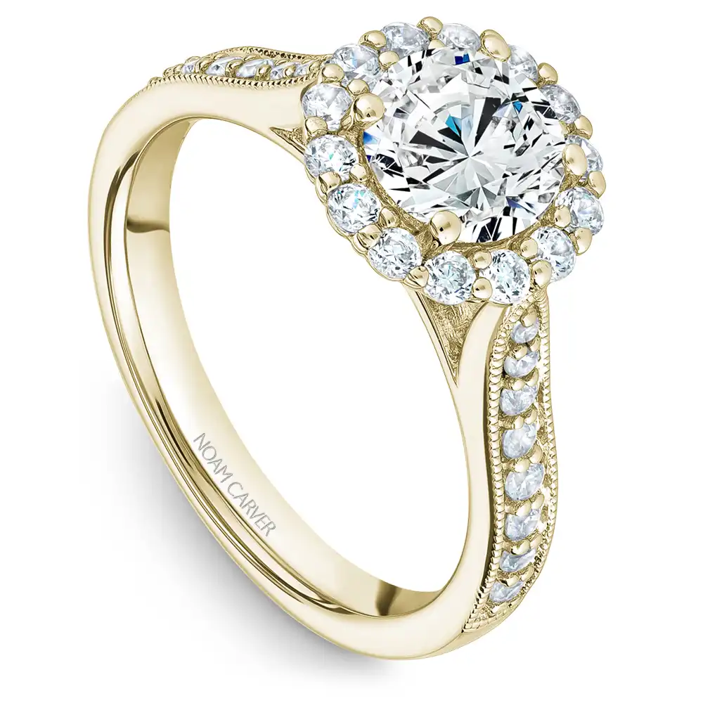 Noam Carver Semi Mount Engagement Ring