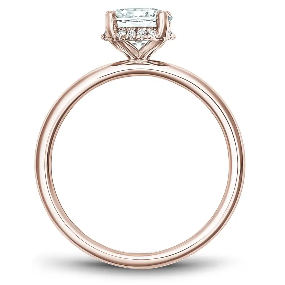 Noam Carver Semi Mount Engagement Ring