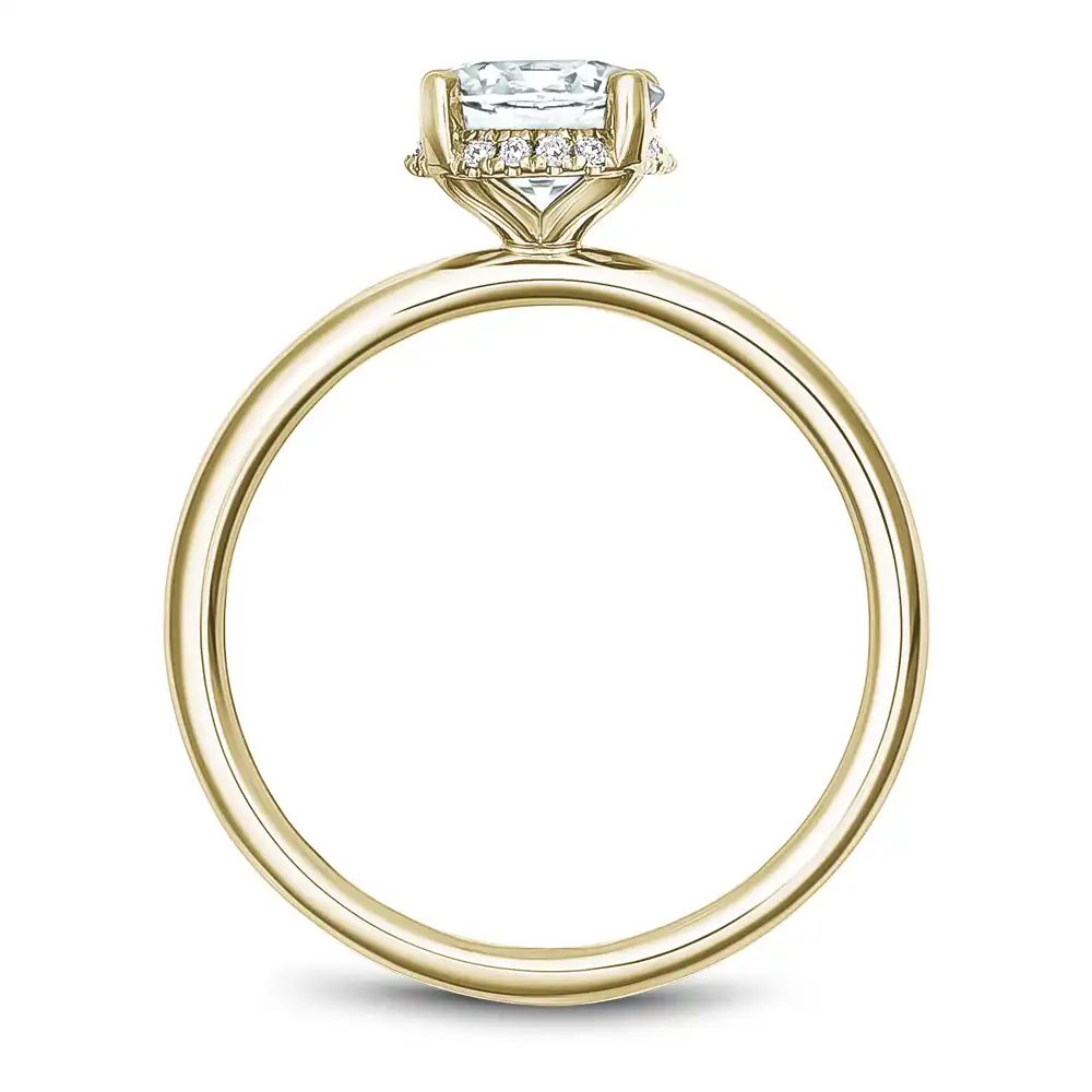 Noam Carver Semi Mount Engagement Ring