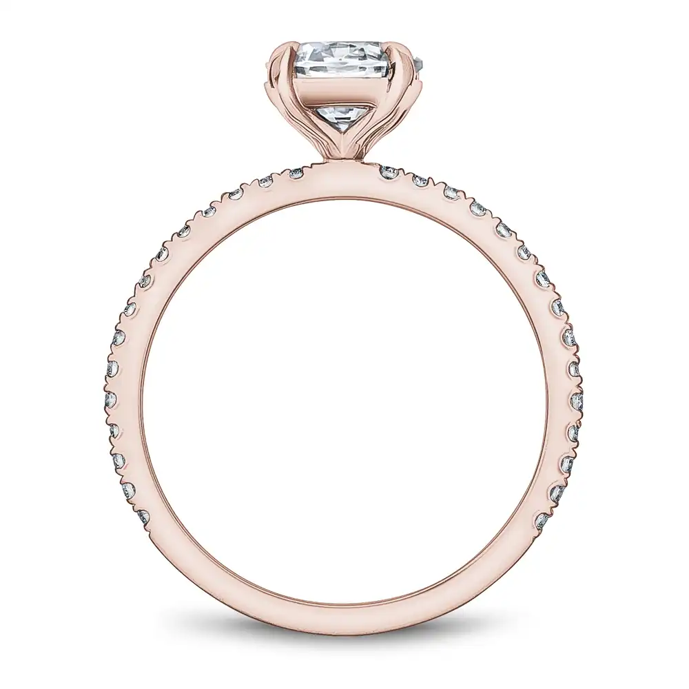 Noam Carver Semi Mount Engagement Ring