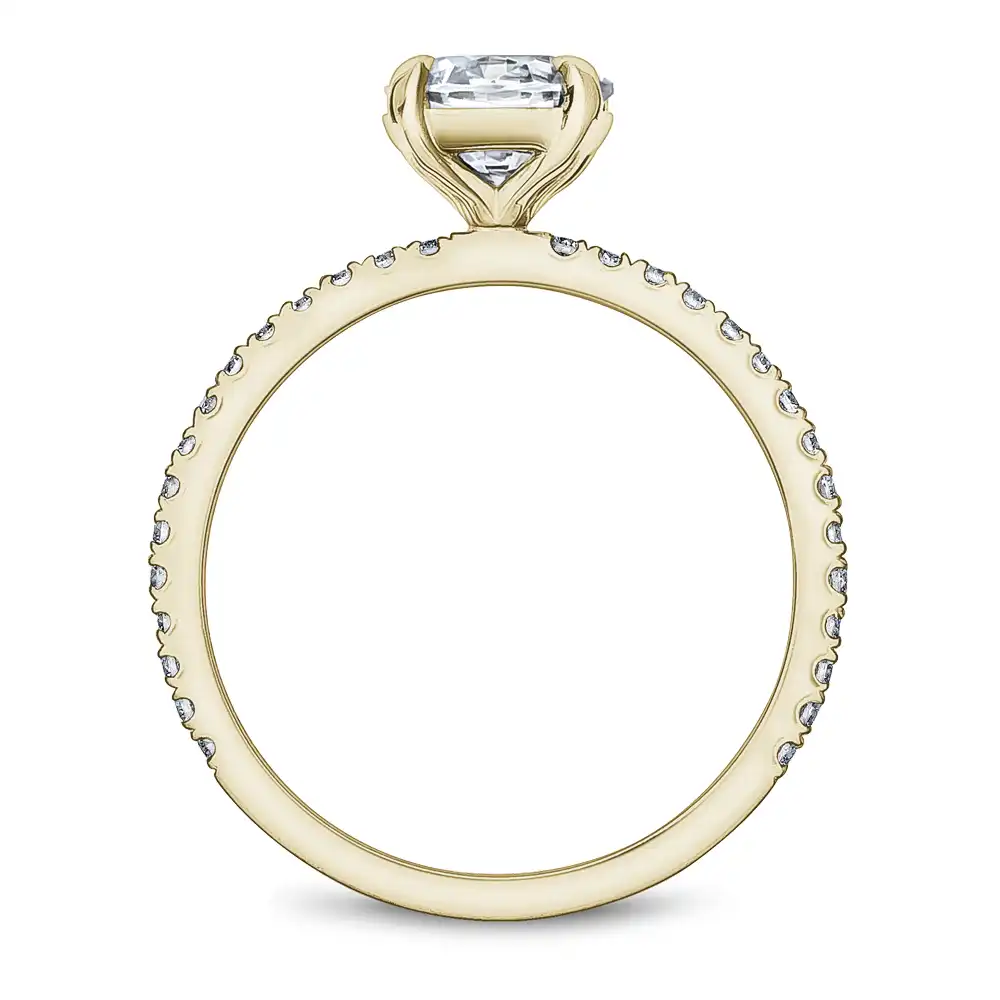 Noam Carver Semi Mount Engagement Ring