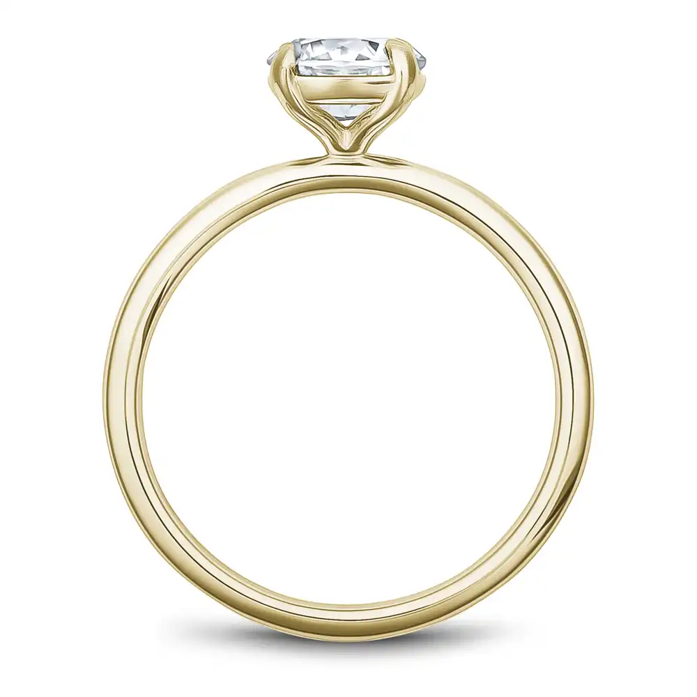 Noam Carver Semi Mount Engagement Ring