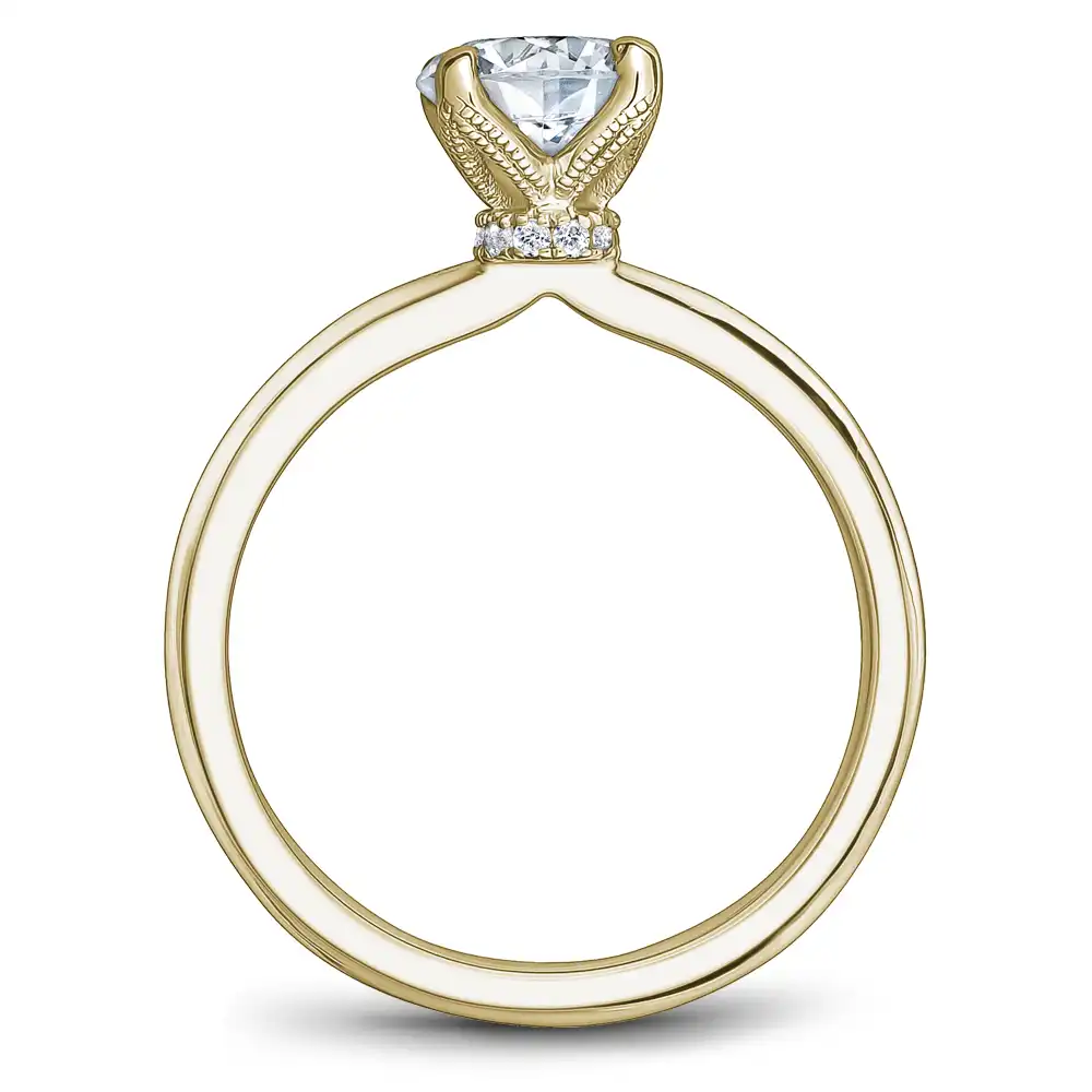 Noam Carver Semi Mount Engagement Ring