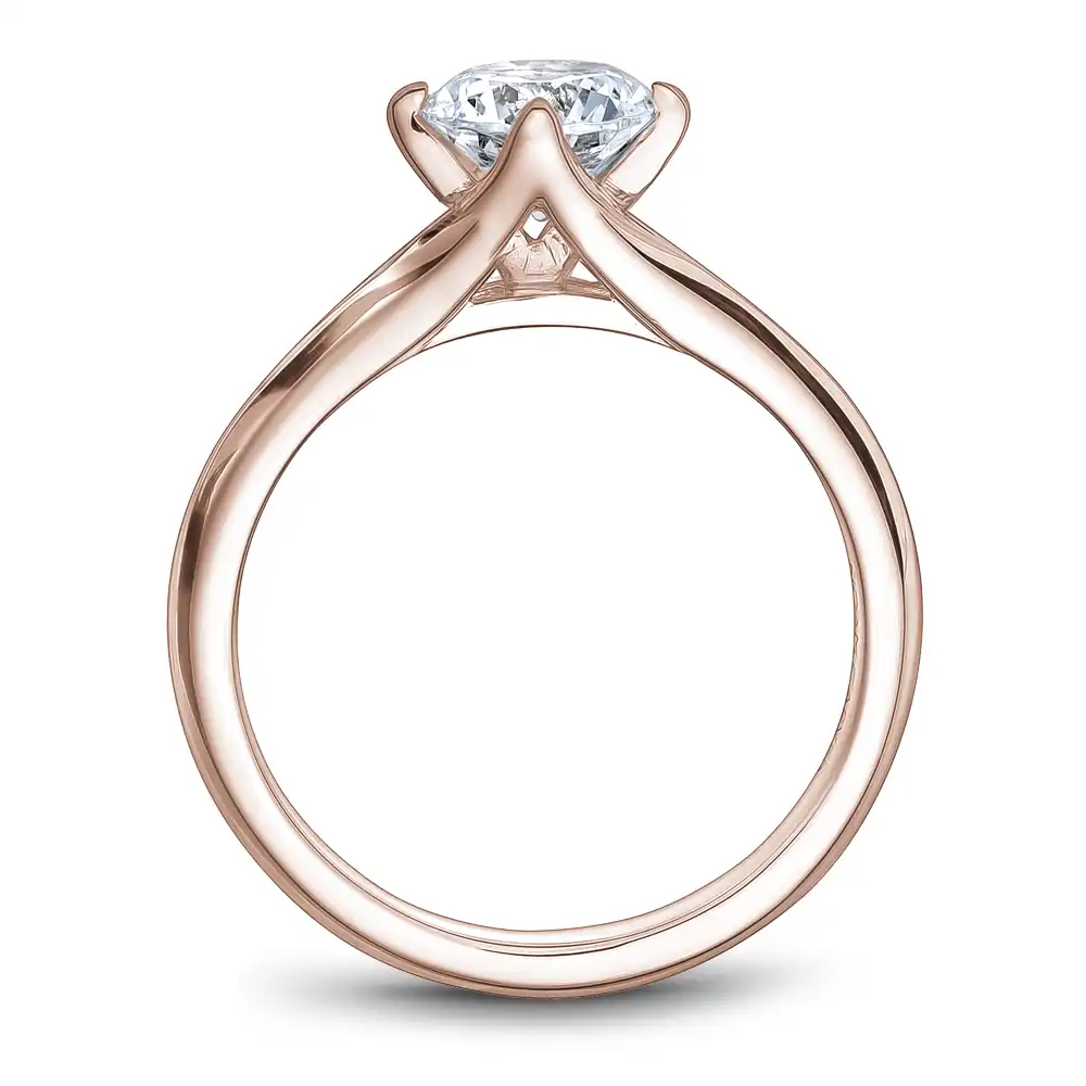 Noam Carver Semi Mount Engagement Ring