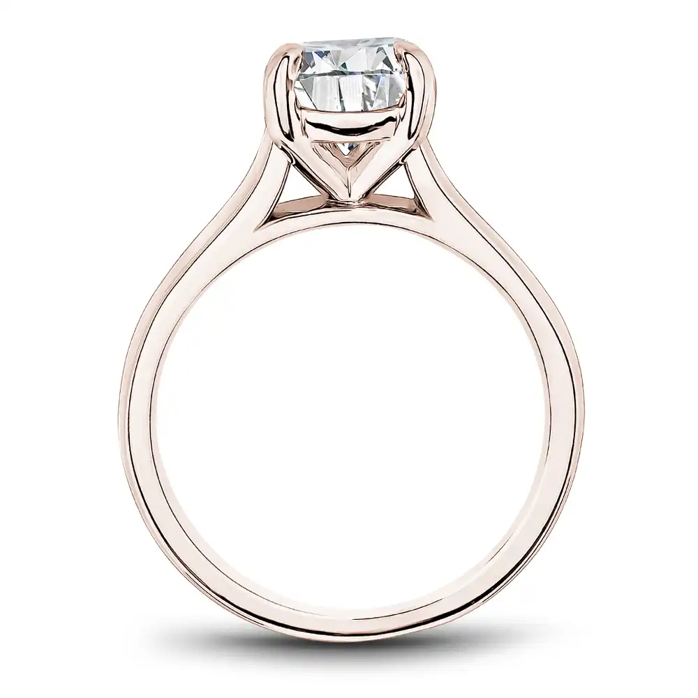 Noam Carver Semi Mount Engagement Ring