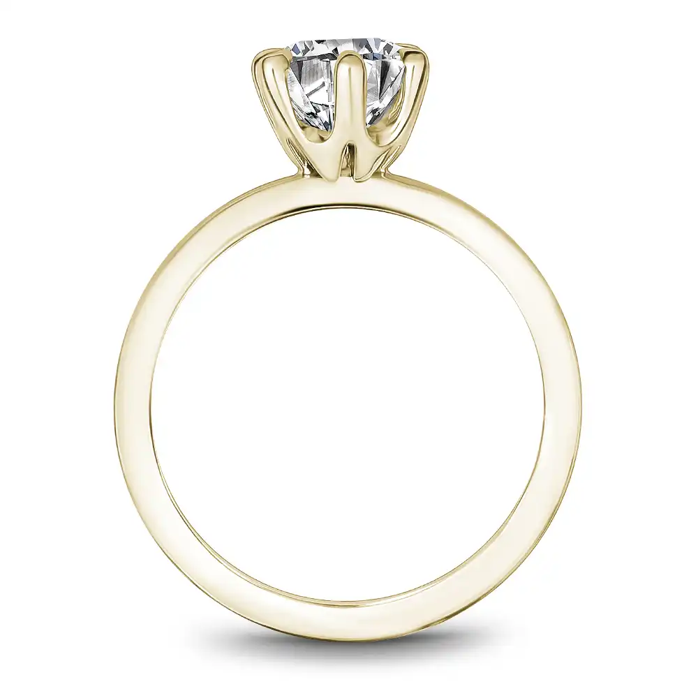 Noam Carver Semi Mount Engagement Ring