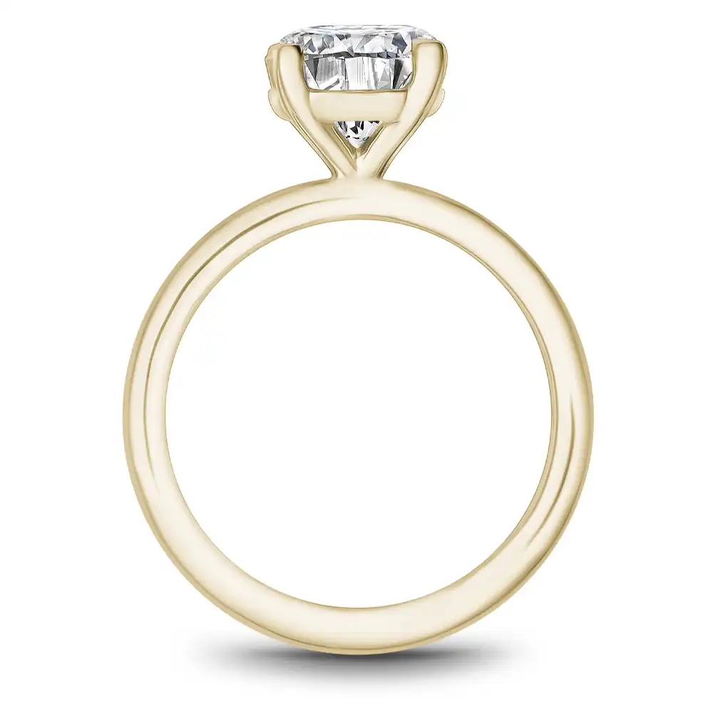 Noam Carver Semi Mount Engagement Ring