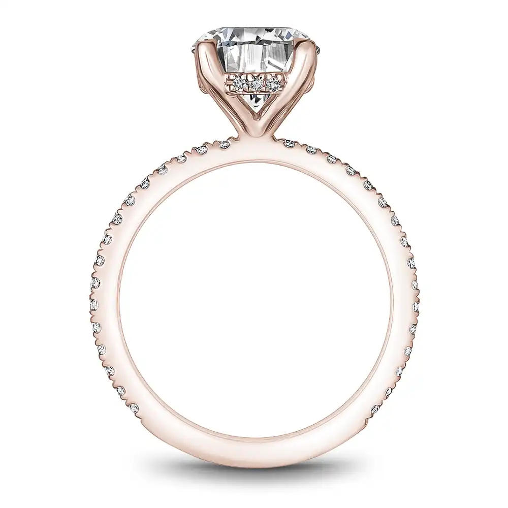 Noam Carver Semi Mount Engagement Ring