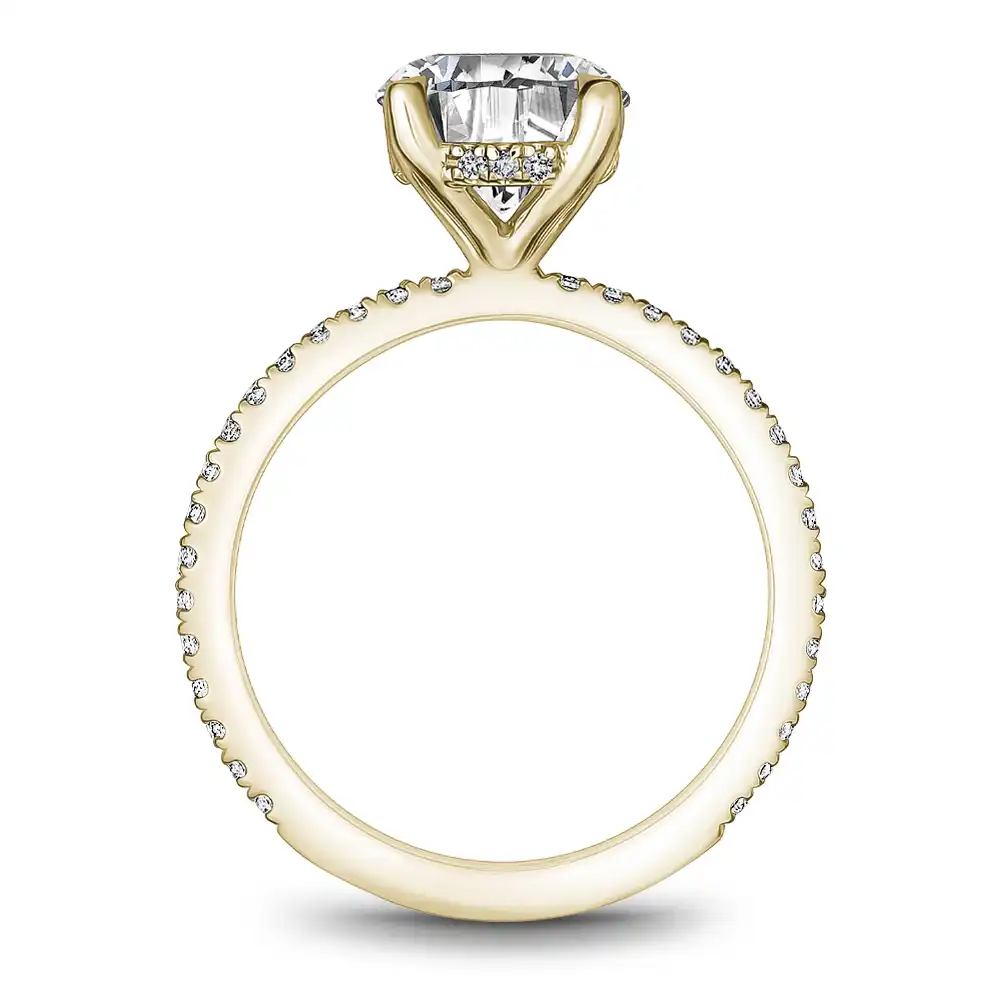 Noam Carver Semi Mount Engagement Ring
