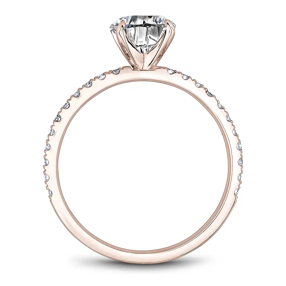 Noam Carver Semi Mount Engagement Ring