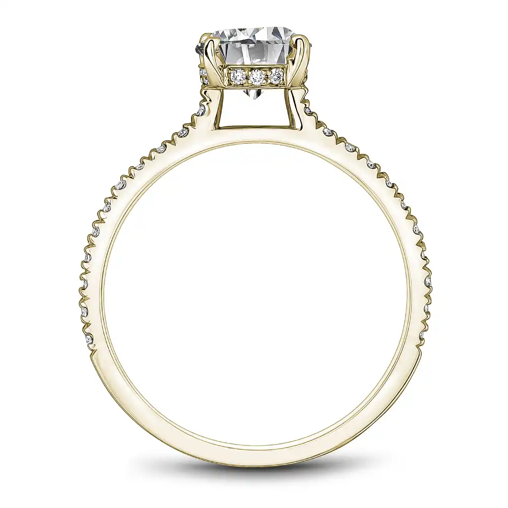 Noam Carver Semi Mount Engagement Ring