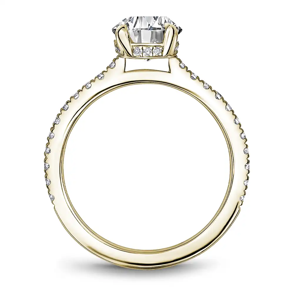 Noam Carver Semi Mount Engagement Ring