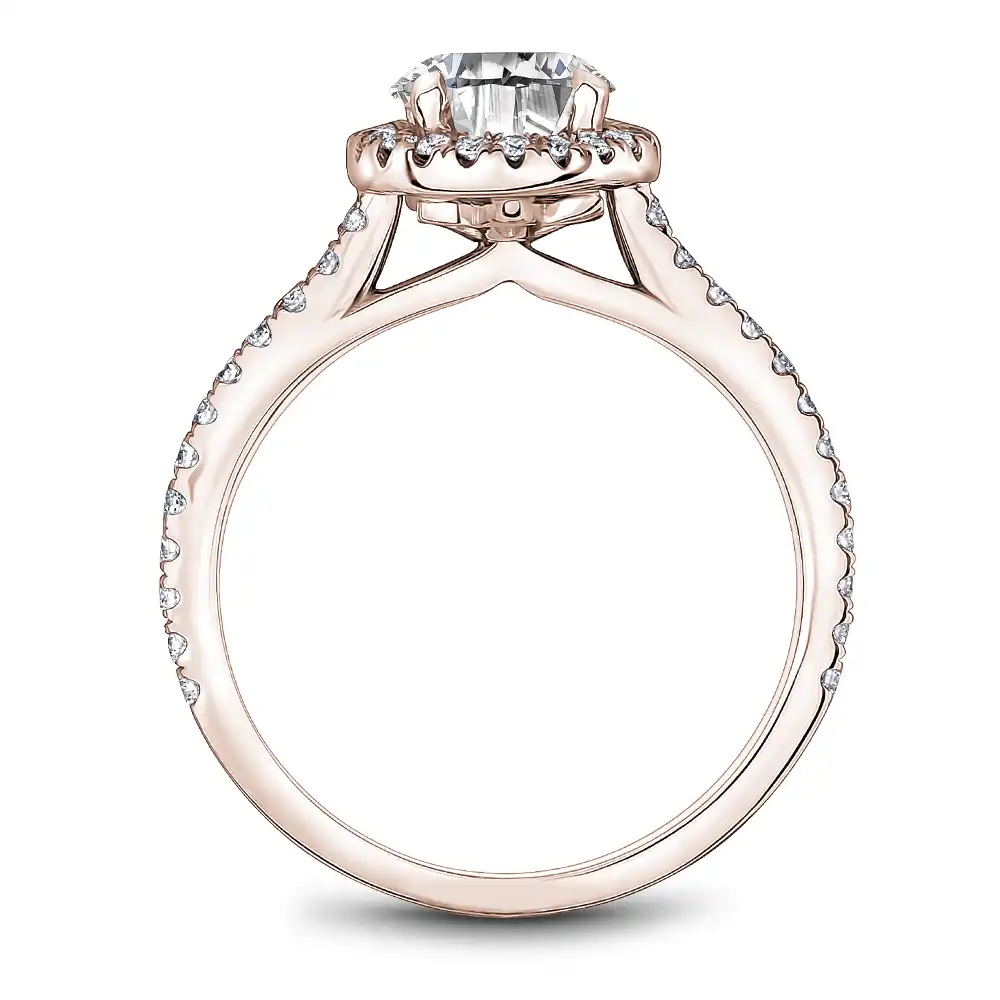 Noam Carver Semi Mount Engagement Ring