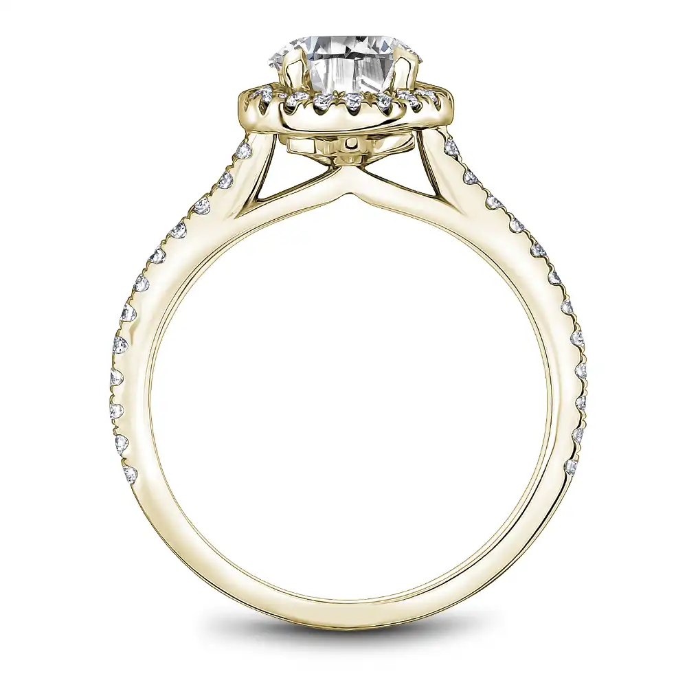 Noam Carver Semi Mount Engagement Ring