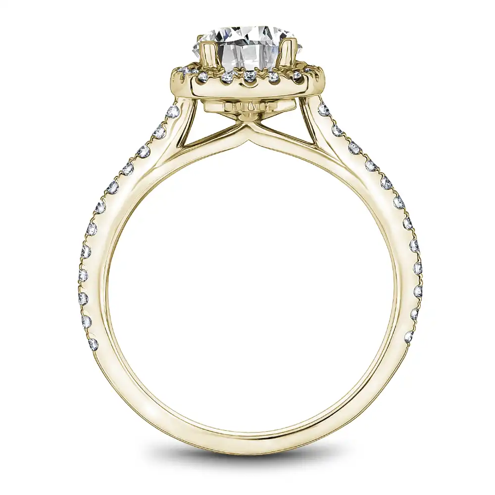 Noam Carver Semi Mount Engagement Ring