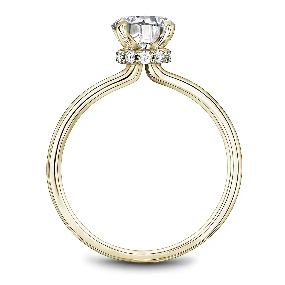 Noam Carver Semi Mount Engagement Ring