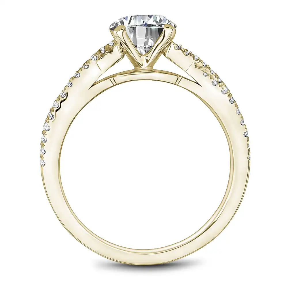 Noam Carver Semi Mount Engagement Ring