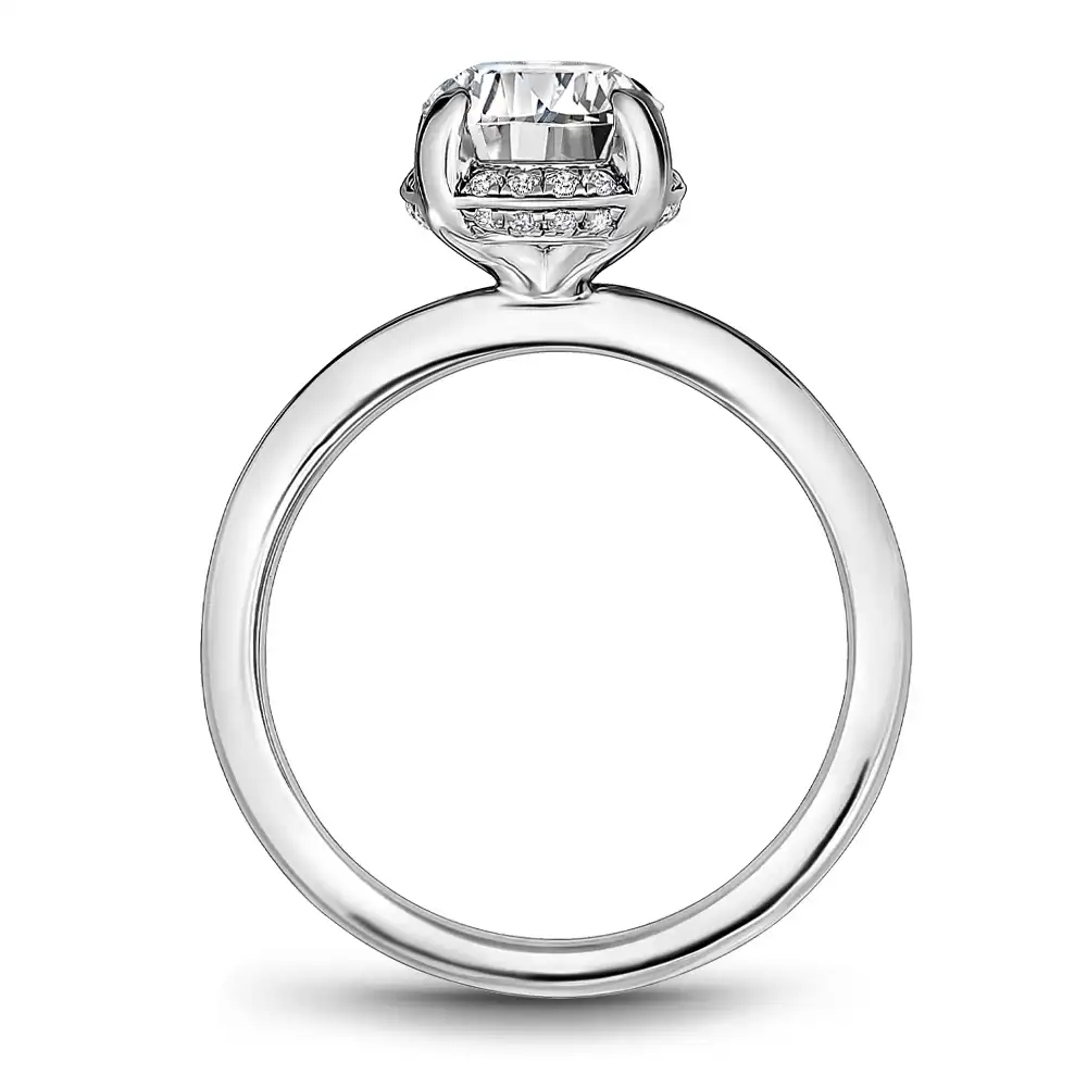 Noam Carver Semi Mount Engagement Ring