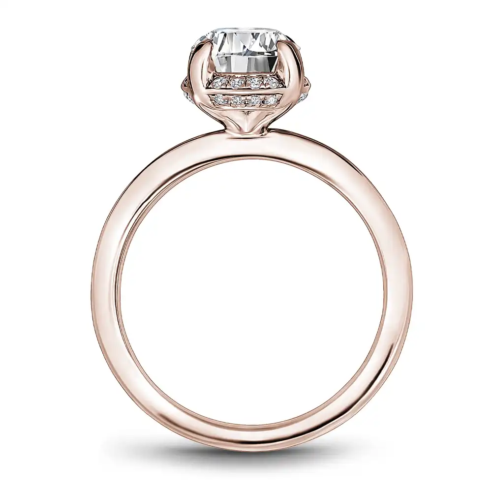 Noam Carver Semi Mount Engagement Ring