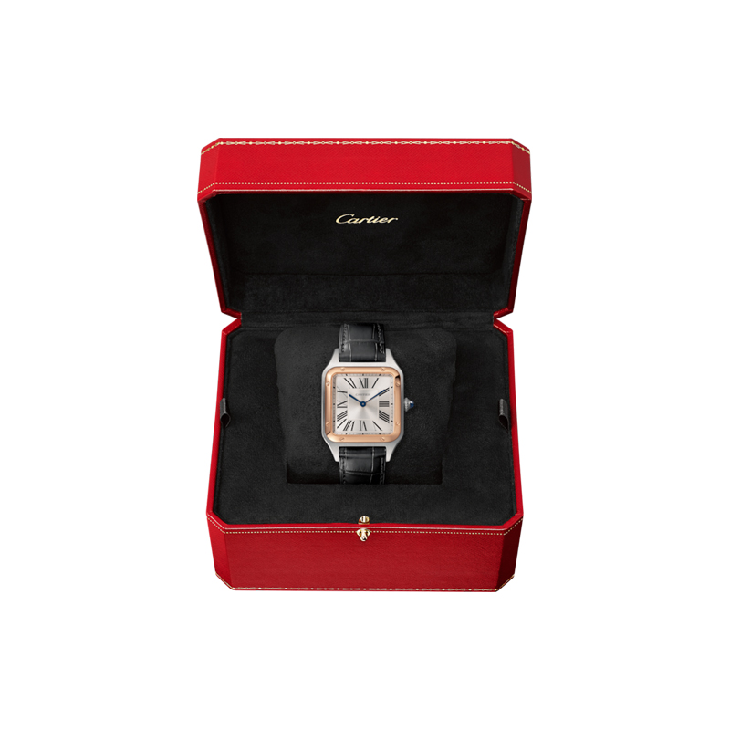 Cartier Santos Dumont Watch W2SA0011