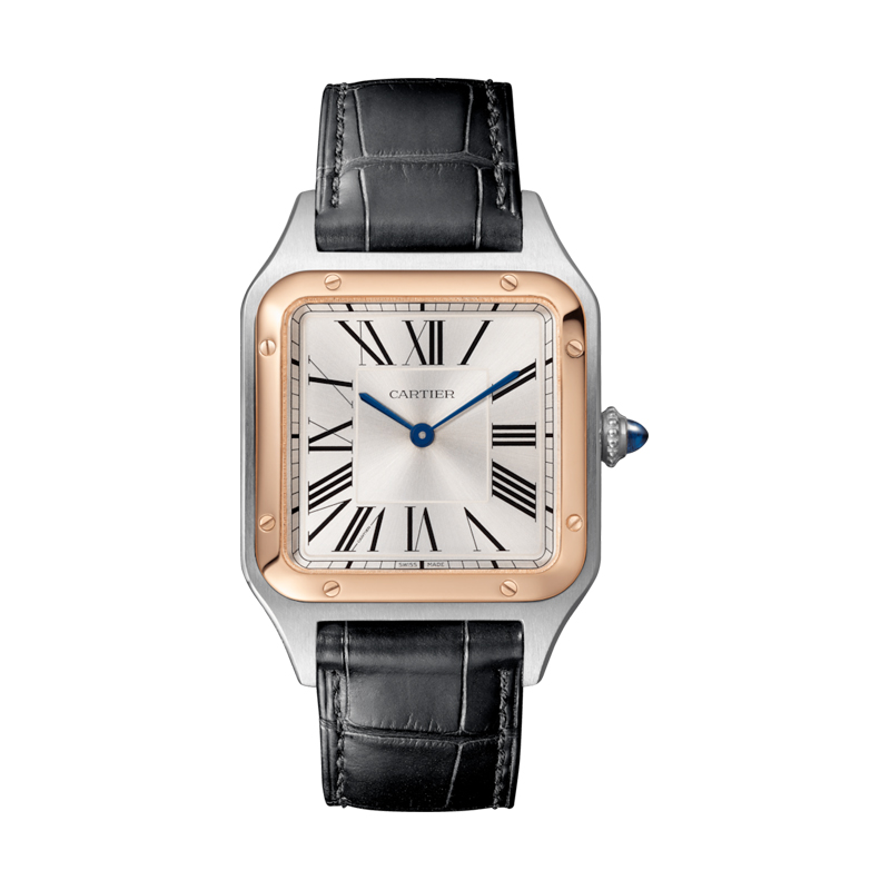 Cartier Santos Dumont Watch W2SA0011