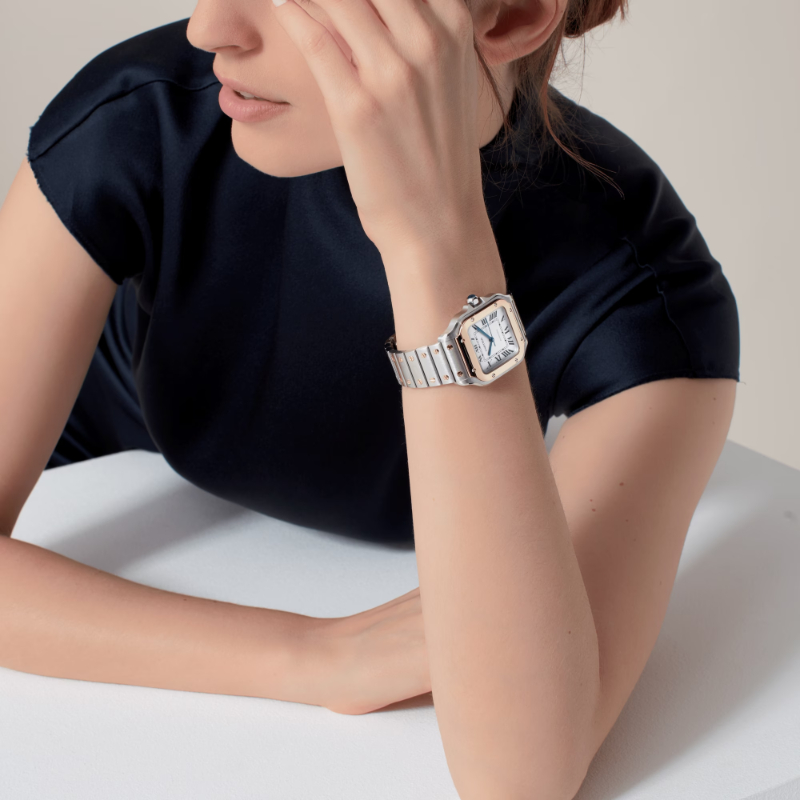 Cartier Santos De Cartier Watch W2SA0016