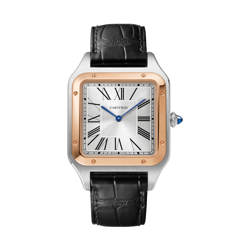 Cartier Santos Dumont Watch W2SA0017