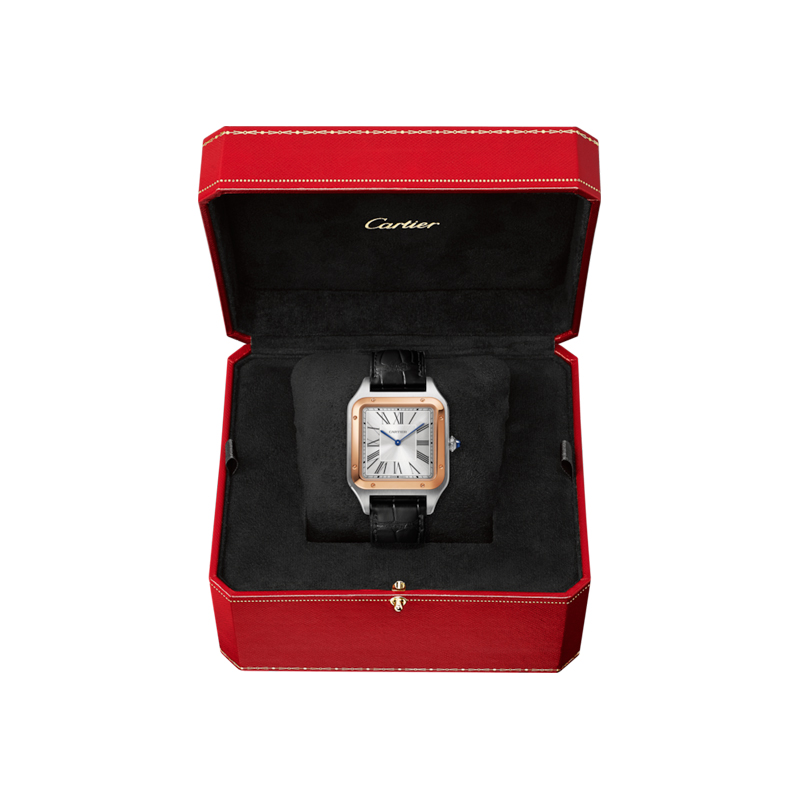 Cartier Santos Dumont Watch W2SA0017