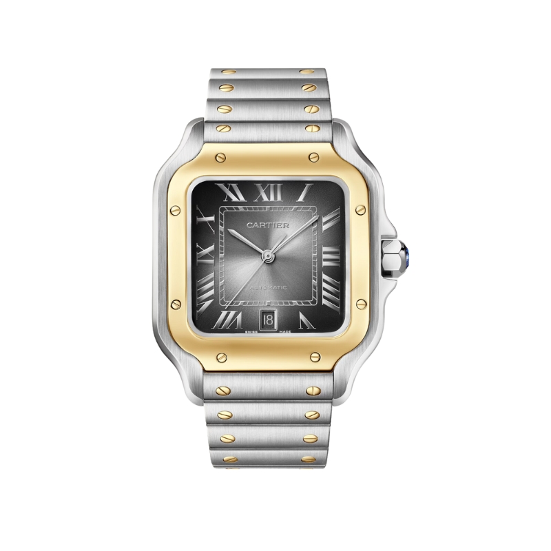 Cartier Santos de Cartier Watch W2SA0030