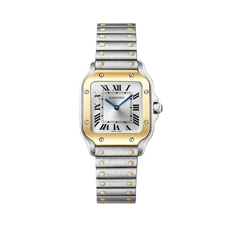 Cartier Santos de Cartier Watch W2SA0033