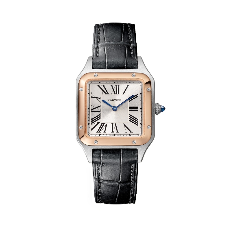 Cartier Santos-Dumont Watch W2SA0038