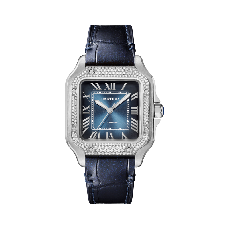 Cartier Santos de Cartier Watch W4SA0006