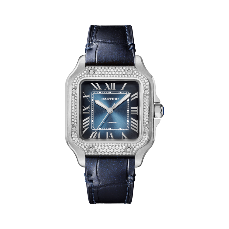 Cartier Santos de Cartier Watch