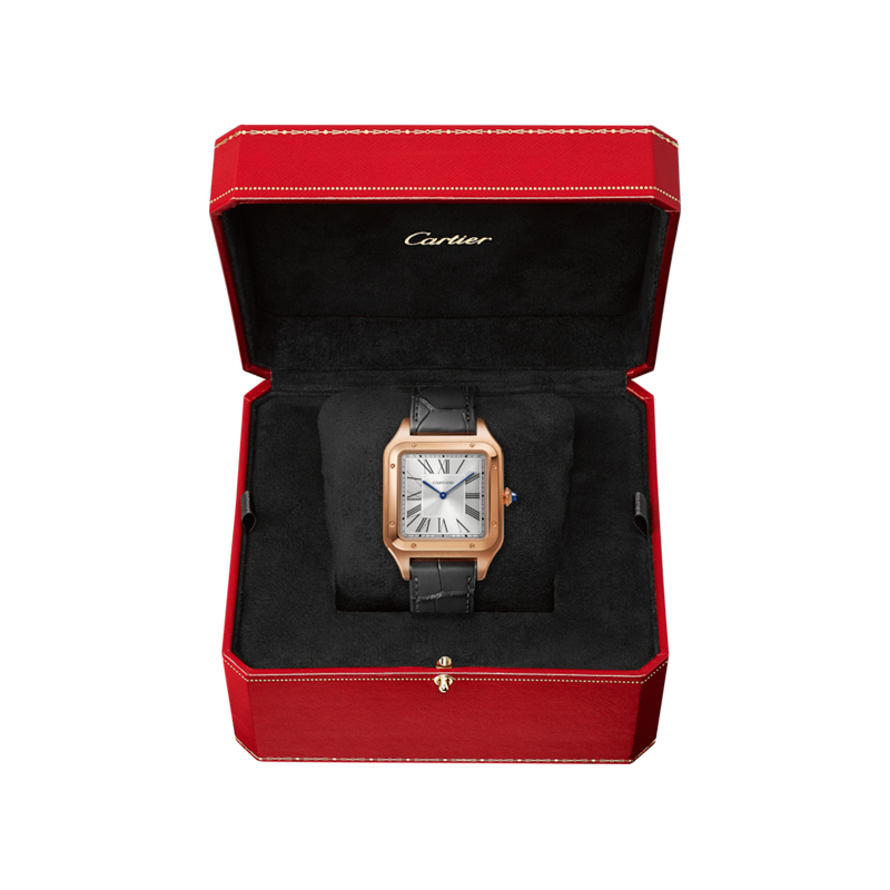 Cartier Santos Dumont Watch WGSA0032