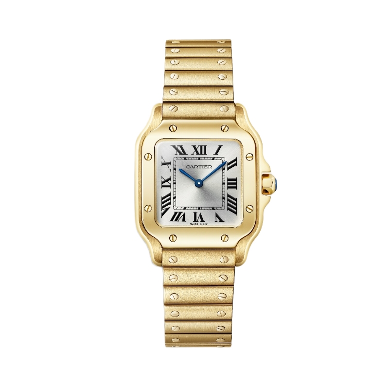 Cartier Santos de Cartier Watch WGSA0107