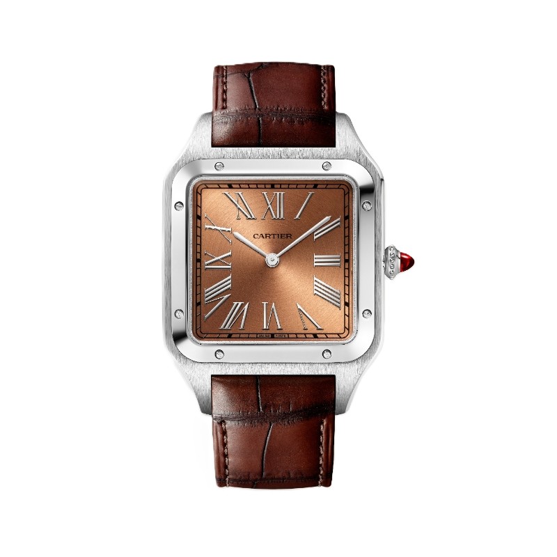 Cartier Santos-Dumont Watch WGSA0113