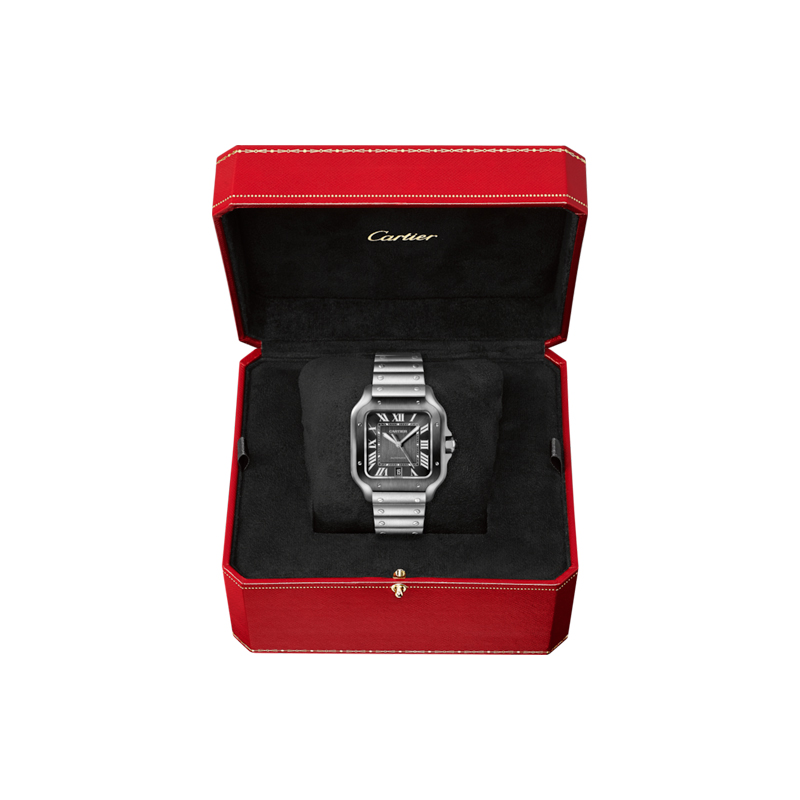Cartier Santos de Cartier Watch WSSA0037