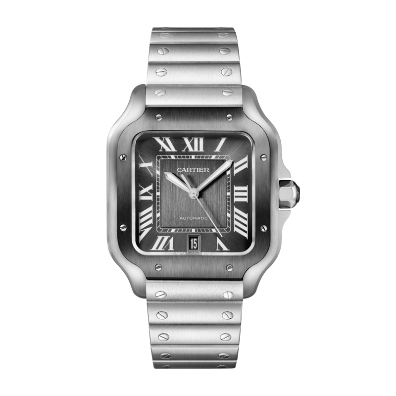 Cartier Santos de Cartier Watch WSSA0037