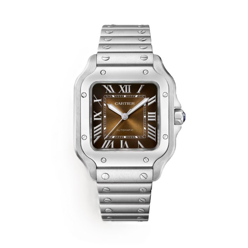 Cartier Santos de Cartier Dumont Watch WSSA0065 WSSA0065