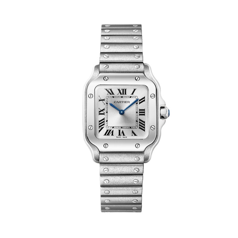 Cartier Santos de Cartier Watch WSSA0082