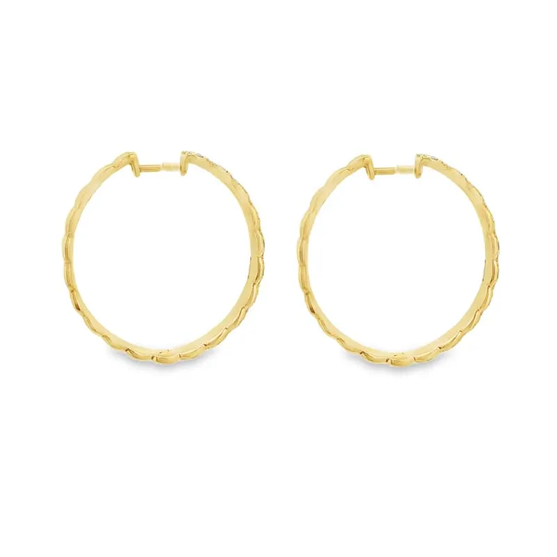 Elegant Gold and Diamond Earrings