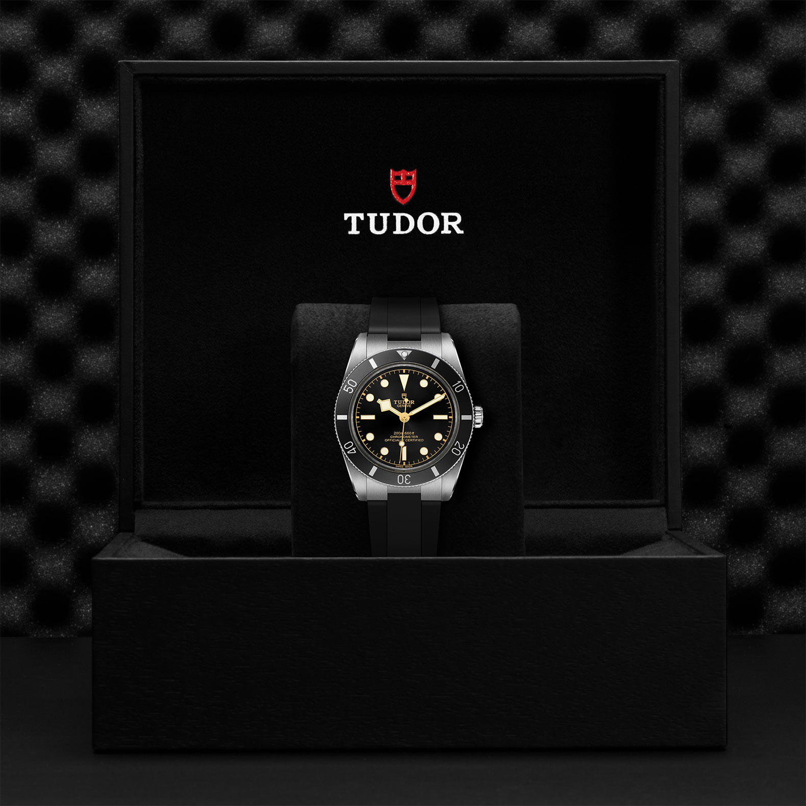 TUDOR Black Bay 54 Watch - M79000N-0002 at Bhindi Jewelers