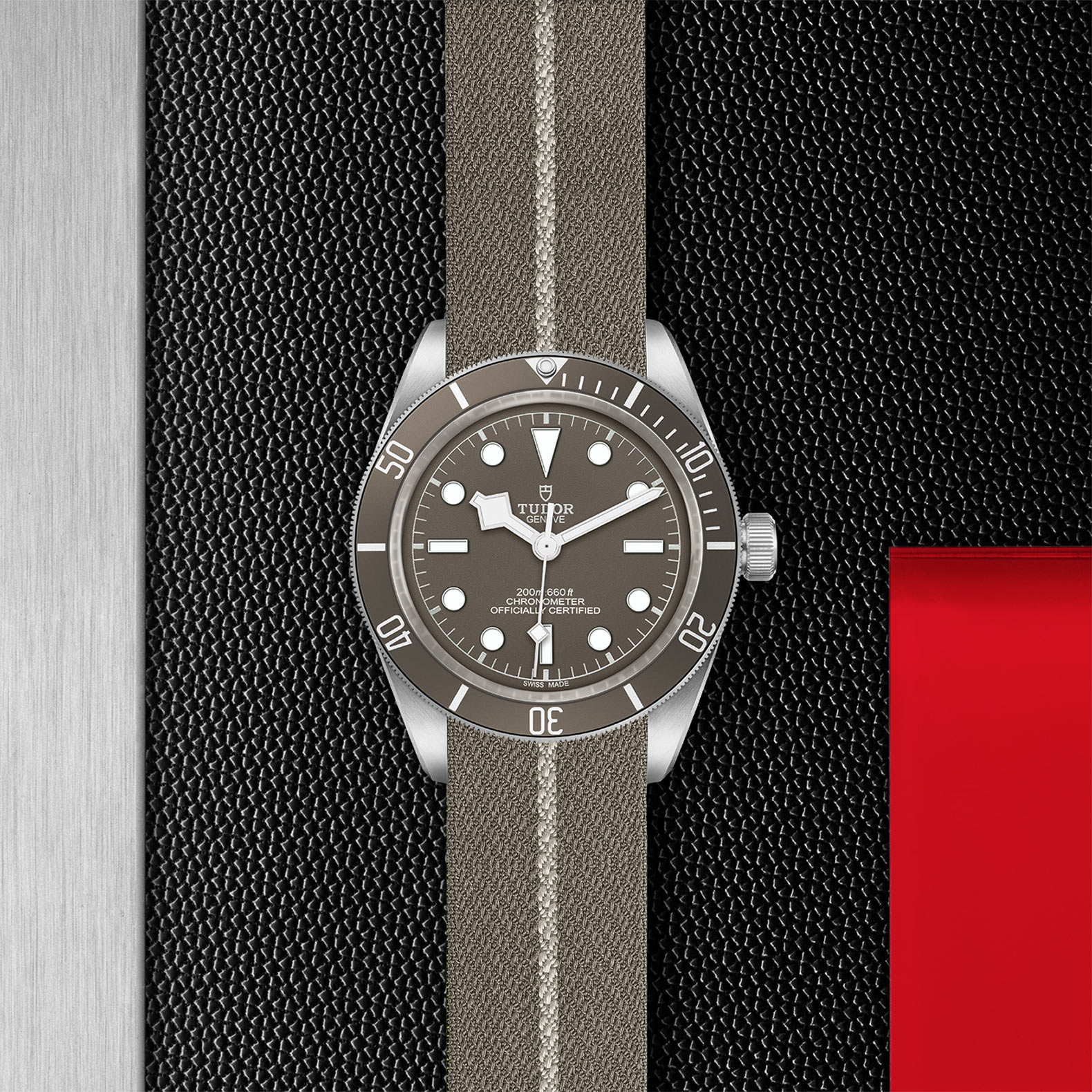 TUDOR Black Bay 58 Watch - M79010SG-0002 at Bhindi Jewelers