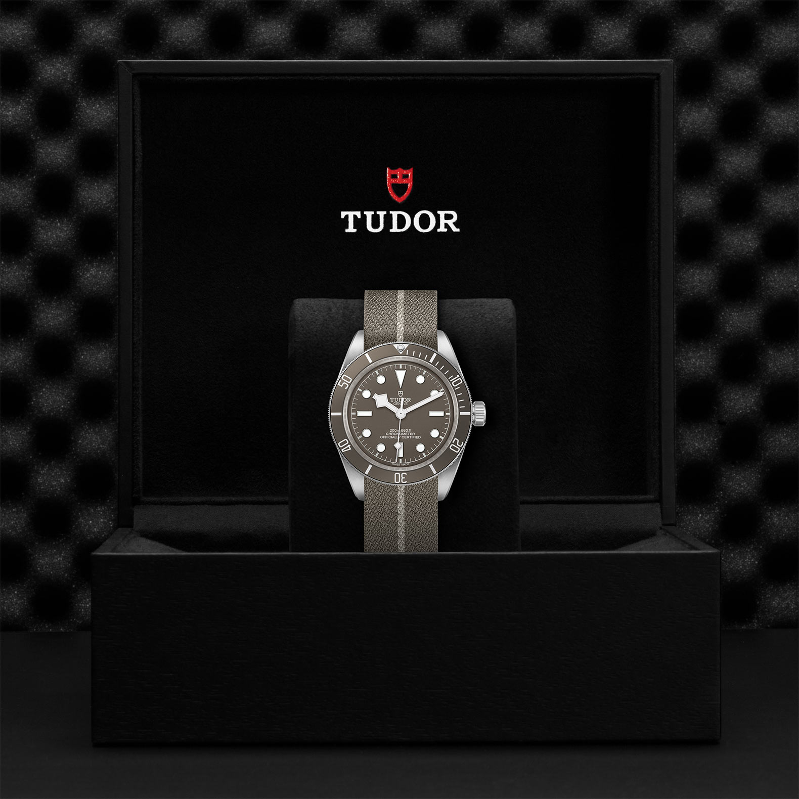 TUDOR Black Bay 58 Watch - M79010SG-0002 at Bhindi Jewelers